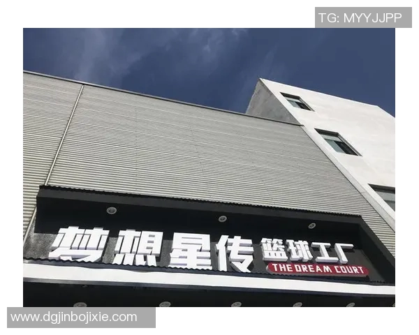 全明星篮球计划单助力青少年篮球梦想实现的全面指导方案